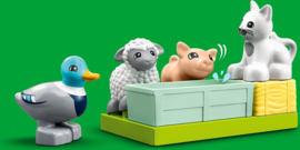 LEGO DUPLO-CW- Boerderij dieren verzorgen- 10949-Green