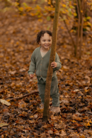 Little Dutch-Jongens gebreide vest-Forest green