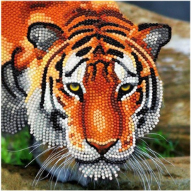 Craft Buddy- Card Kit-Diamond Painting The Tiger(partial)- Multi Color