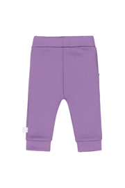 4President-Meisjes Broek Brenda-Paars