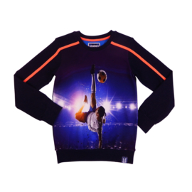 Legends22-Boys Sweater Champion -Multi color