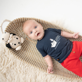 Frogs and Dogs-Jongens t-shirt Ahoy-Navy