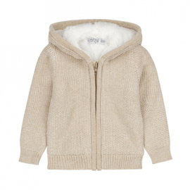 Dirkje-Meisjes Outside cardigan-Beige grey