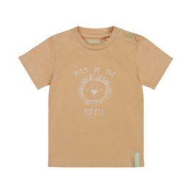 Dirkje-Baby Jongens T-Shirt ss-Camel