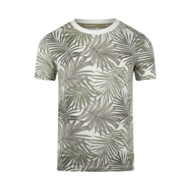 Koko Noko-Jongens T-shirt korte mouw- Licht vervaagd groen