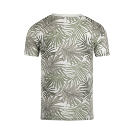 Koko Noko-Jongens T-shirt korte mouw- Licht vervaagd groen