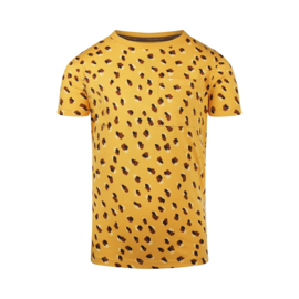 Koko Noko-Jongens T-Shirt ss-Warm geel
