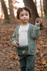 Little Dutch-Jongens t-shirt lange mouw- Zand melee
