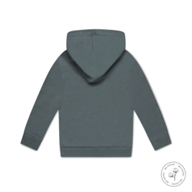 Koko Noko-Boys Nero Cardigan ls with hood Bio Cotton-Faded green