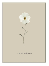 8527 - In stil medeleven