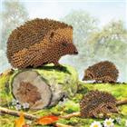 Craft Buddy- Card Kit-Diamond Painting Happy Hedgehogs- Multi Color