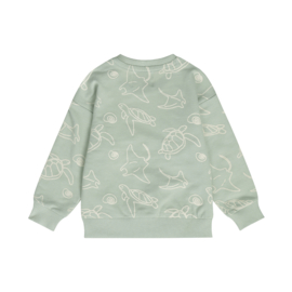 Dirkje-Jongens Sweater-Soft sage