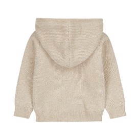 Dirkje-Meisjes Outside cardigan-Beige grey