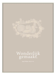 8504 - Wonderlijk gemaakt