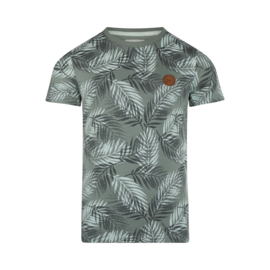 Koko Noko-Jongens T-Shirt ss-Dusty groen