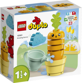 LEGO DUPLO My First Groeiende wortel-10981