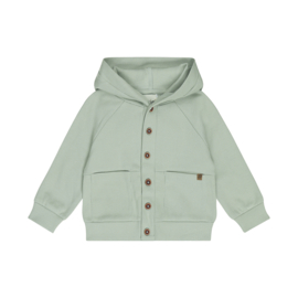 Dirkje-Jongens Cardigan-Soft sage