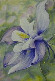 Bloem 1, aquarelverf