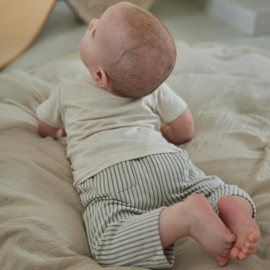 Dirkje-Jongens Broek- Stoffig groen