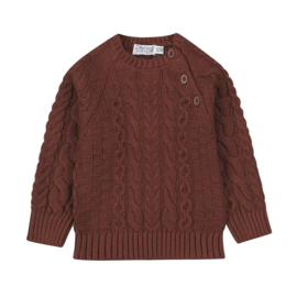 Dirkje-Jongens sweater met raglan met ronde hals-Bruin