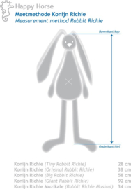 Happy Horse-Rabbit Richie Musical 34 cm- Oudroze