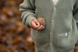 Little Dutch-Jongens gebreide vest-Forest green