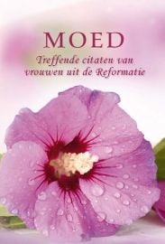 CBC-Moed-Multi Color