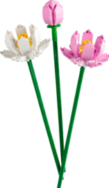 LEGO-Flowers -Lotusbloemen-40647
