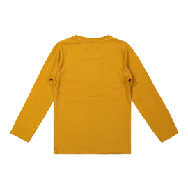 DJ Dutch Jeans-Boys T-shirt ls-Camel