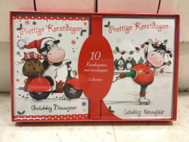 10 Kerstkaarten met enveloppen-2 dessins-CBC-Red