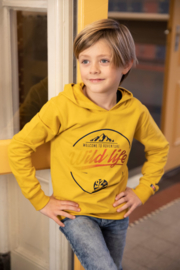 DJ Dutch Jeans-Boys Sweater ls with hood-Ochre