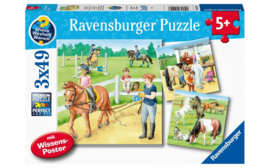Ravensburger-Puzzel 3 x 49 stukjes-Een dag op de manege-Multi Colour