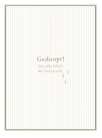 8509 - Gedoopt!