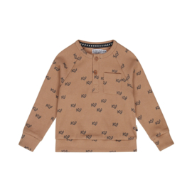 Dirkje-Jongens Sweater lange mouw-Bruin