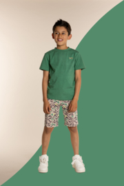Studio Chill-Jongens t-shirt Yannick-Groen
