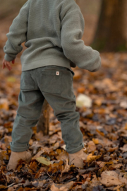 Little Dutch-Jongens gebreide vest-Forest green