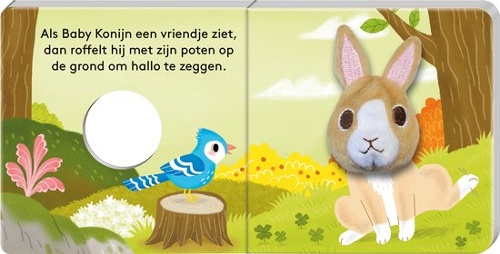 Image Books-Vingerpopboek-Baby Konijn-Multi Color