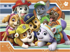 Ravensburger 4 Puzzels Paw Patrol 12 +16+20+24 stukjes-Multi Color