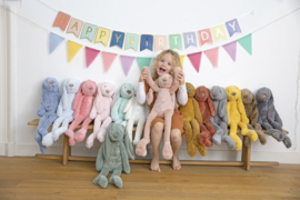 Happy Horse-Rabbit Richie 38 cm- Groen