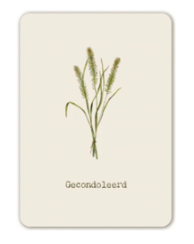 7424 - Deelneming