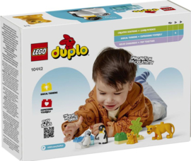LEGO-DUPLO Stad Families van wilde dieren: pinguïns en leeuwen-10442
