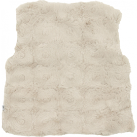 Klein Baby-Meisjes vest-Off white