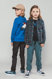 Moodstreet-Jongens SIMON mount FUJI sweater-Japan Sea