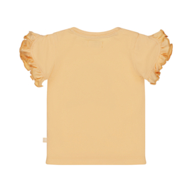 Dirkje-Meisjes t-shirt-Faded oranje