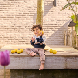 Dirkje-Jongens 2 pc set, Sweater, Jogging trousers-Meerdere kleuren