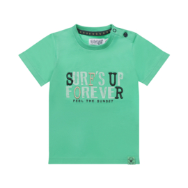 Dirkje-Jongens T-Shirt ss-Licht groen