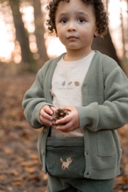 Little Dutch-Jongens t-shirt lange mouw- Zand melee