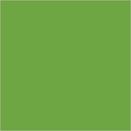 Acryl color-permanent green (554), opaque, good fade resistant, 60ml-Schmincke AKADEMIE