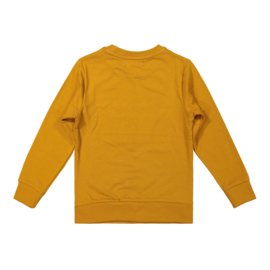 DJ Dutch Jeans-Jongens Sweater ls-Camel