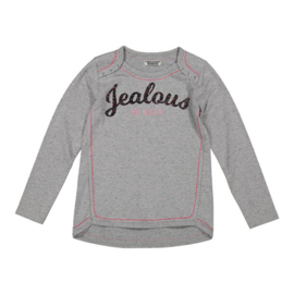 DJ Dutch Jeans-Girls T-shirt l.s- Grey Melee